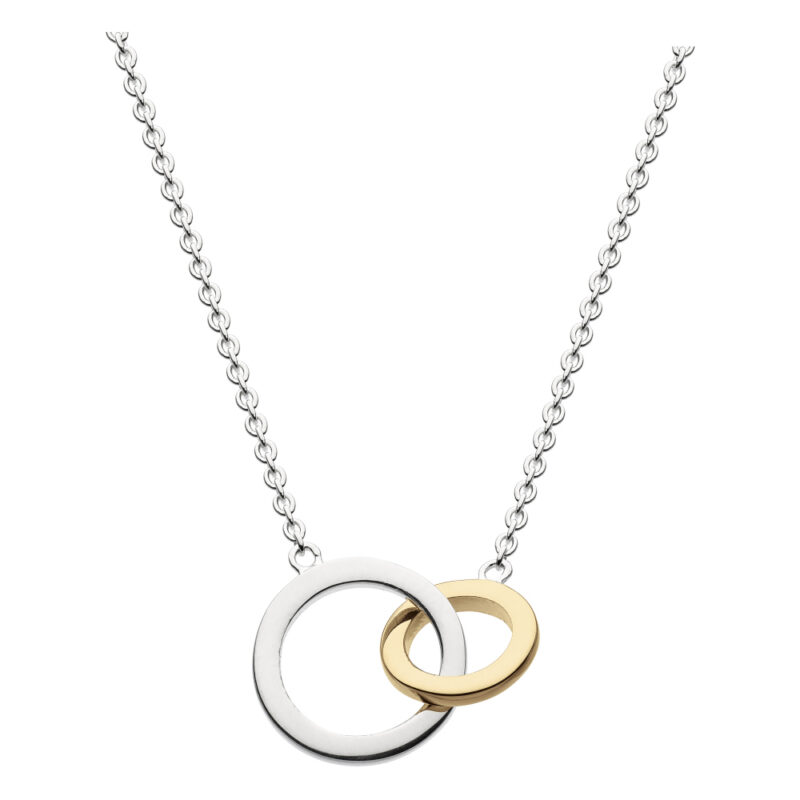 Gold and Silver Two Loop Necklace