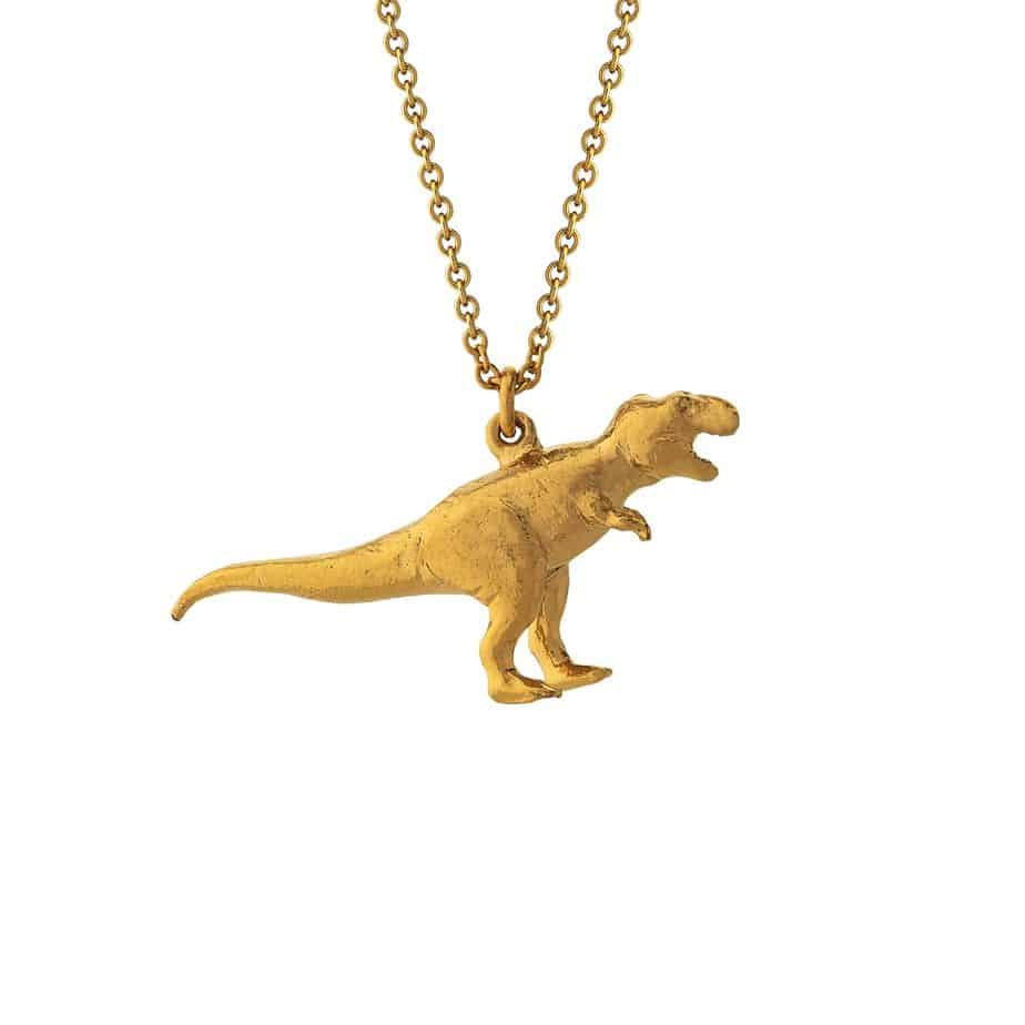 Amazon.com: Gold Dinosaur Chain Necklace for Women Triceratops T-Rex  Brachiosaurus Necklace Animal Pendant Charm Necklace Christmas gifts  Personalized Jewelry necklaces for girls, Copper, other,: Clothing, Shoes &  Jewelry