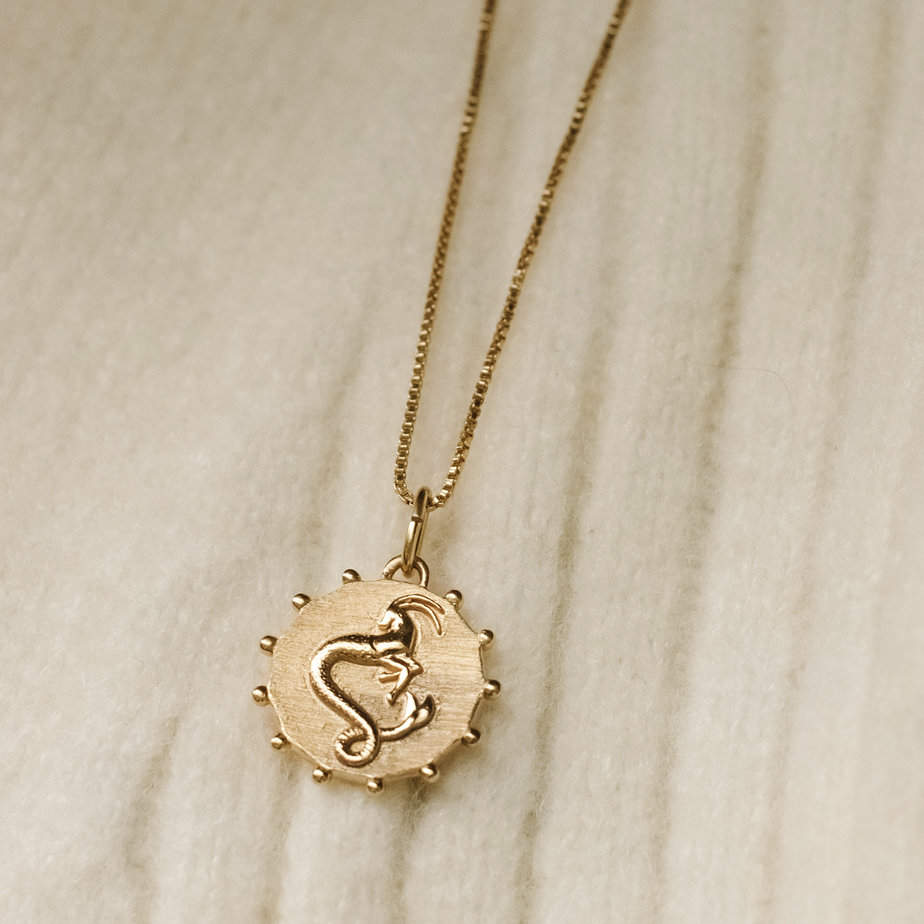 Rachel Jackson Zodiac Art Coin Necklace - Silverado Jewellery - Jewellery