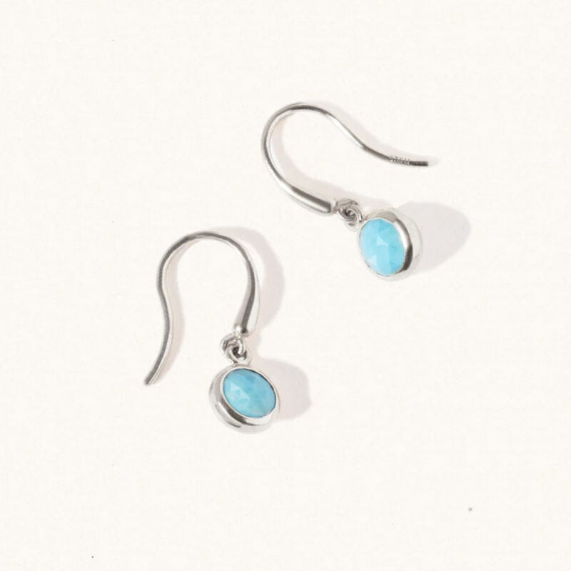 December Silver Birthstone Drop Earrings - Turquoise - Silverado Jewellery