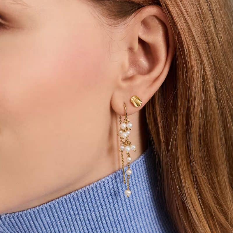 Silver ocean treasures ear chain earrings in ear
