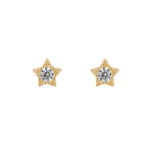 Gold Star Stud Earrings - Silverado Jewellery