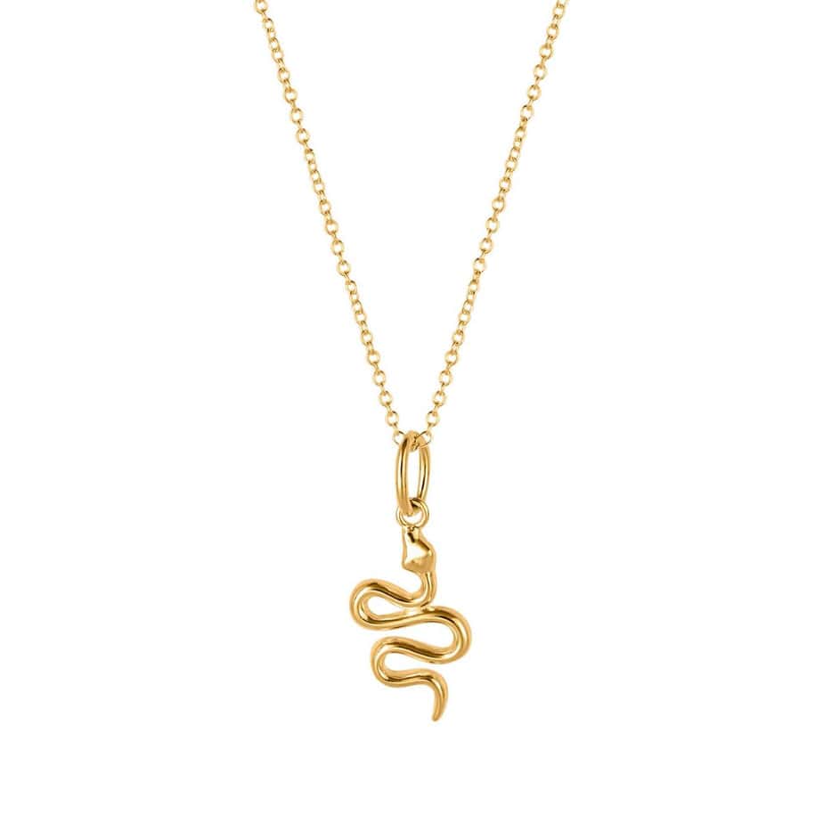 Gold Snake Necklace — Iradj Moini