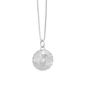 Silver aquarius zodiac coin necklace - Rachel Jackson - Silverado Jewellery
