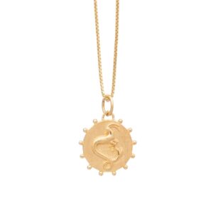 Gold capricorn zodiac coin necklace - Rachel Jackson - Silverado Jewellery