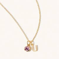 February Birthstone and Initial Necklace - Luceir - Silverado Jewellery