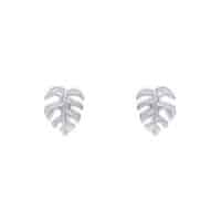 Silver Cheese Plant Stud Earrings - Silverado Jewellery