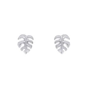 Silver Cheese Plant Stud Earrings - Silverado Jewellery