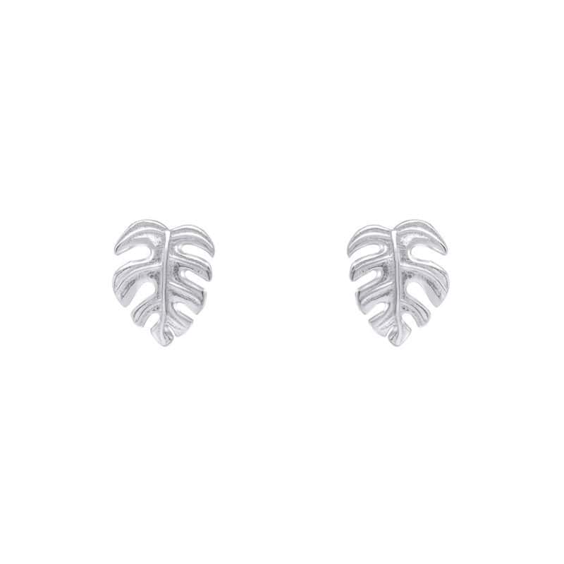 Silver Cheese Plant Stud Earrings - Silverado Jewellery