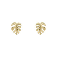 Gold Cheese Plant Stud Earrings - Silverado Jewellery