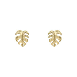 Gold Cheese Plant Stud Earrings - Silverado Jewellery