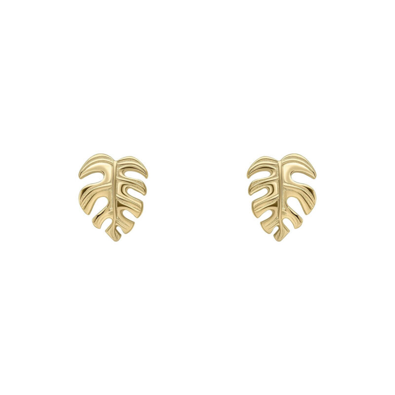 Gold Cheese Plant Stud Earrings - Silverado Jewellery