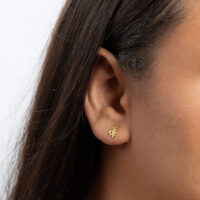 Gold Cheese Plant Stud Earrings - Silverado Jewellery