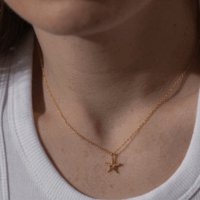 Gold starfish Necklace - One & Eight - Silverado Jewellery