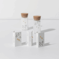 Silver Astral Stud Earrings