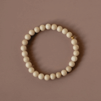Fossil Stone Beaded Bracelet