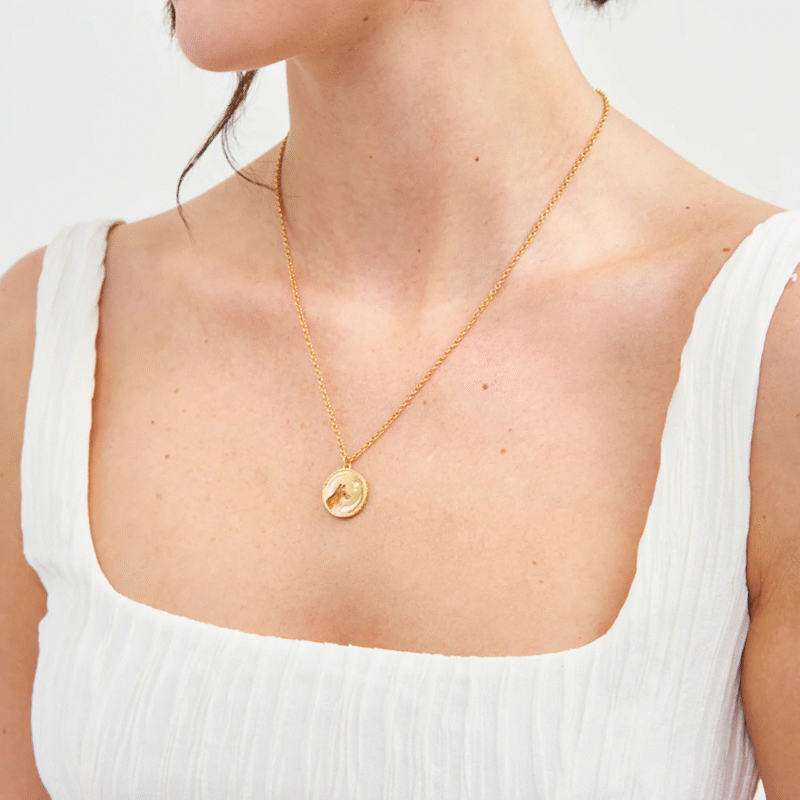 Fox Shadow Necklace