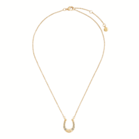 Horseshoe Necklace