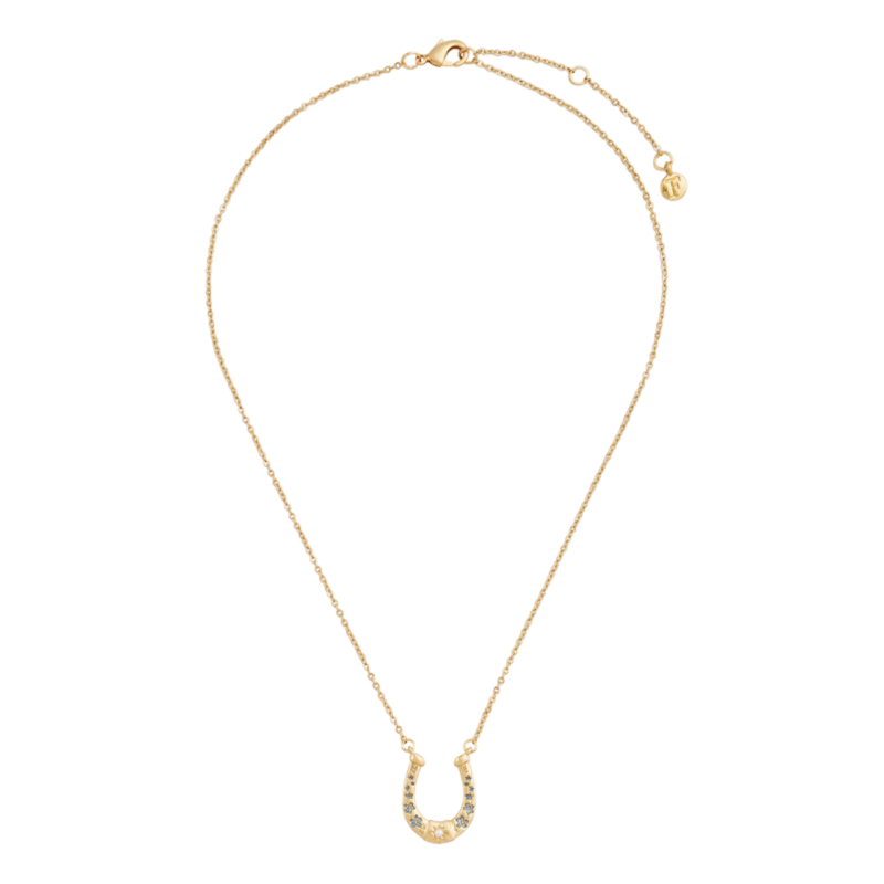 Horseshoe Necklace