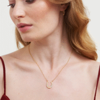 Horseshoe Necklace