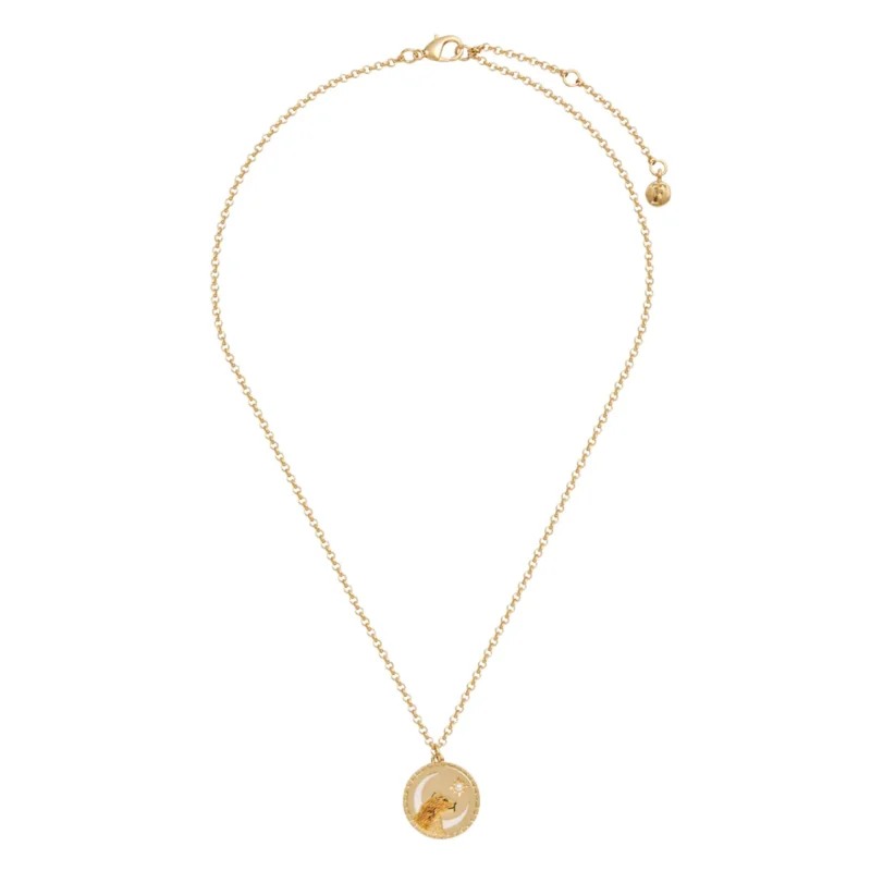 Lioness Spirit Guide Necklace