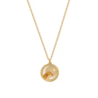 Lioness Spirit Guide Necklace