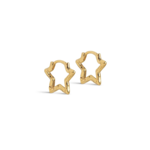 Small Organic Star Hoop Earrings