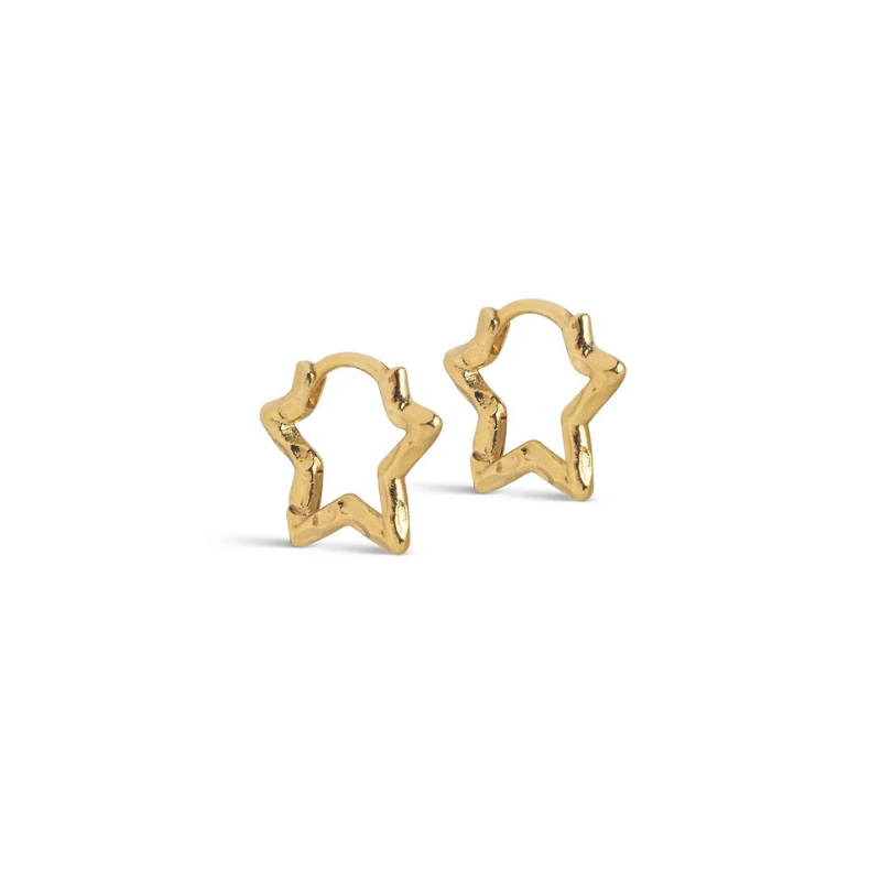 Small Organic Star Hoop Earrings