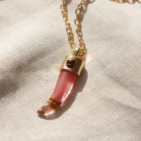 DSC_0667 Red Watermelon Skin Shark Tooth Necklace
