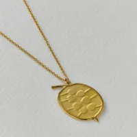 Honesty Pod Necklace With Heart Shaped Seeds