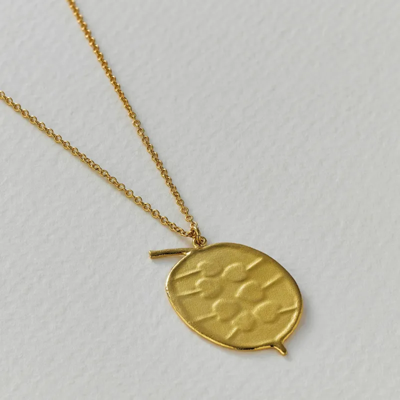 Honesty Pod Necklace With Heart Shaped Seeds