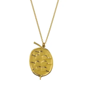 honesty pod necklace Honesty Pod Necklace With Heart Shaped Seeds
