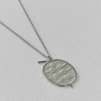 Silver Honesty Pod Necklace With Heart Shaped Seeds