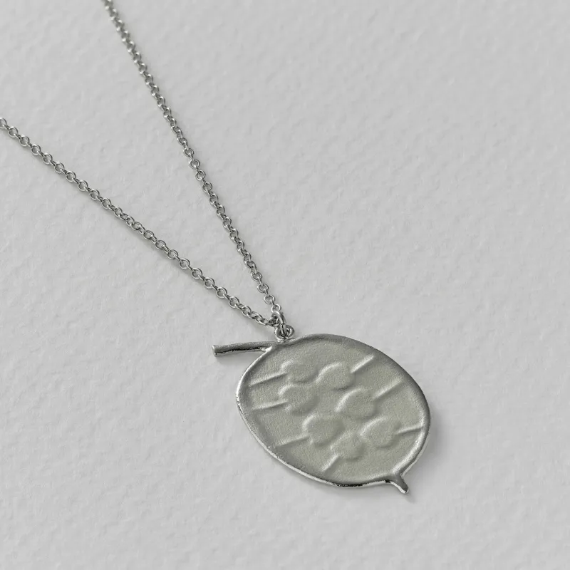 Silver Honesty Pod Necklace With Heart Shaped Seeds