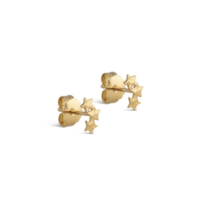 Organic Star Stud Earrings