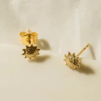Apollo Stud earrings - One and eight - Silverado Jewellery